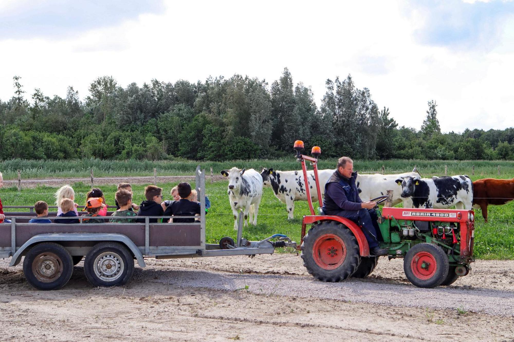 Boerderijcamping De Hinde Дронтен Экстерьер фото