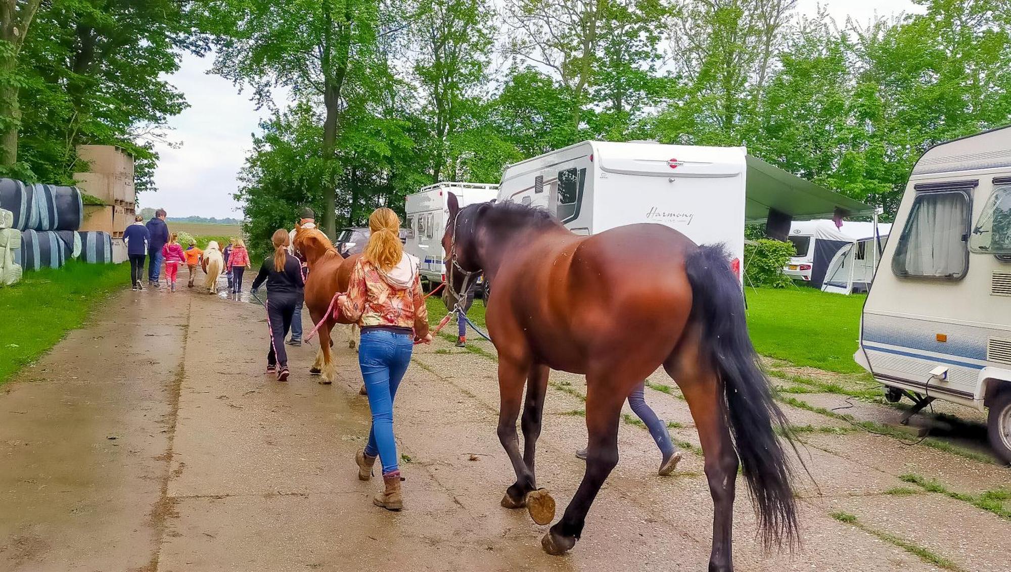 Boerderijcamping De Hinde Дронтен Экстерьер фото